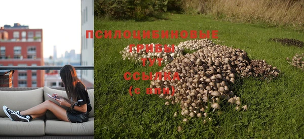 прущий лед Михайлов