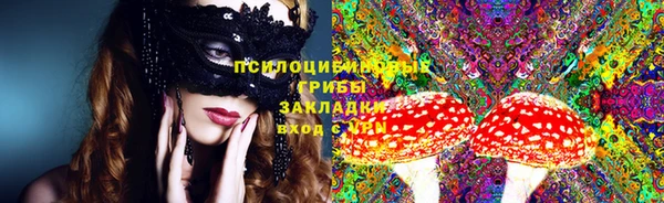 стаф Медвежьегорск