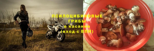стаф Медвежьегорск