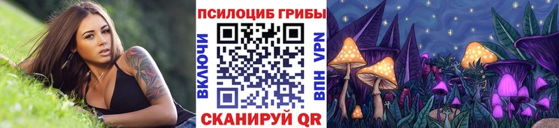 МЕГА ссылка  Киренск  Псилоцибиновые грибы Cubensis 